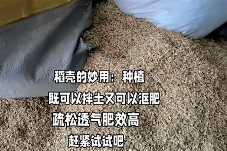 葡萄最怕三个肥料