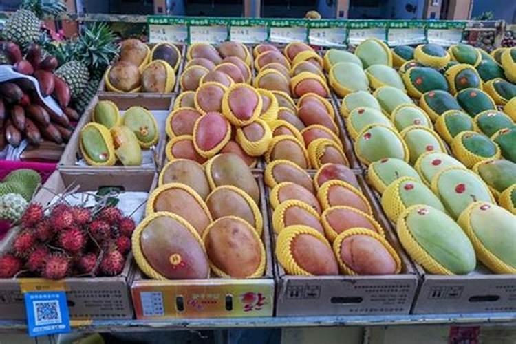 水果施肥可以吗