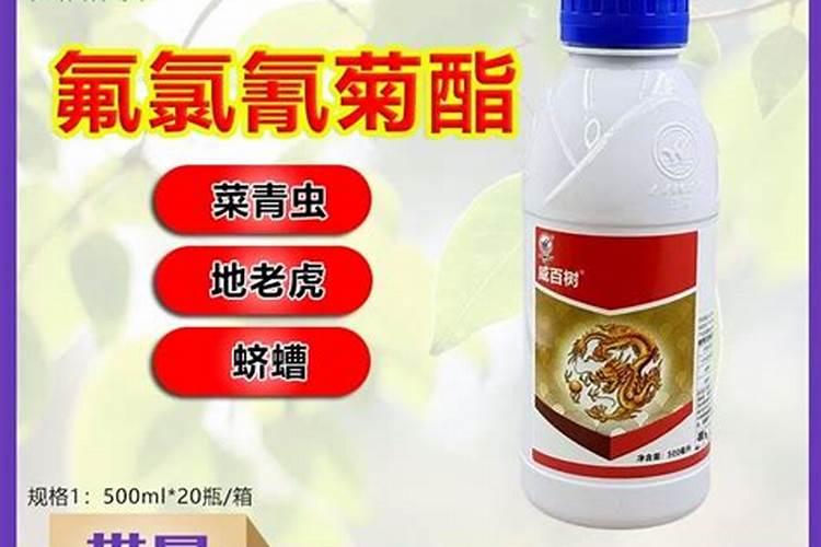 种葡萄施什么肥？