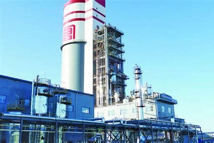 大唐呼伦贝尔化肥有限公司的项目介绍