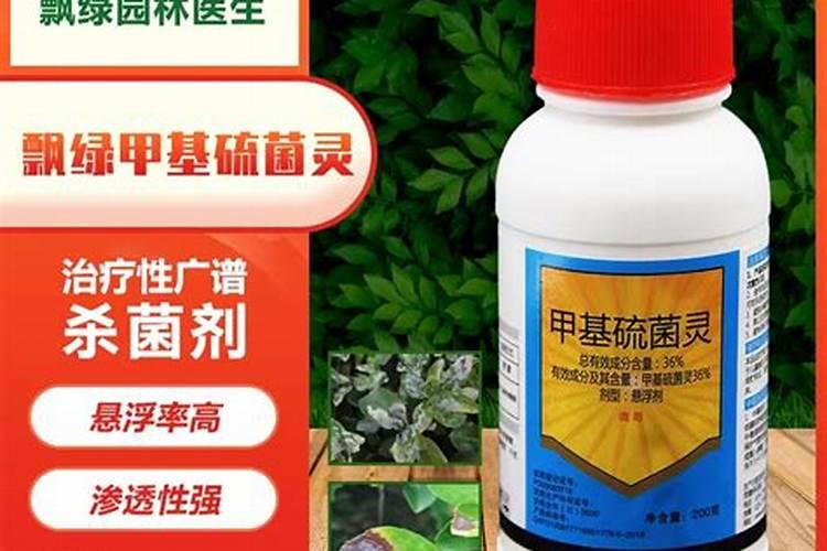 复合果蔬酵素固体饮料的功效