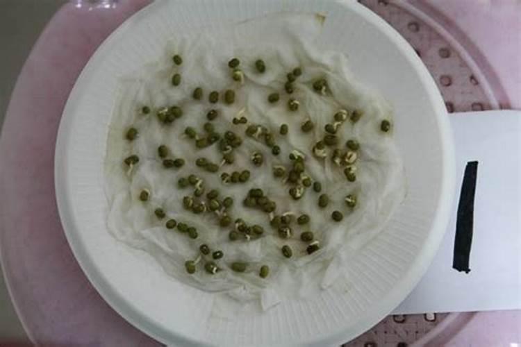 种绿豆用什么肥料好