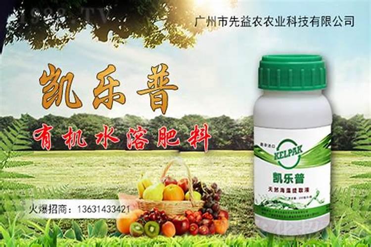 西红柿膨果期用哪种肥料效果好？什么肥可以果实膨大？