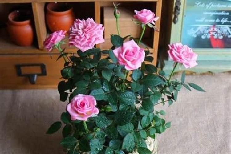 自流平地面的危害是什么？