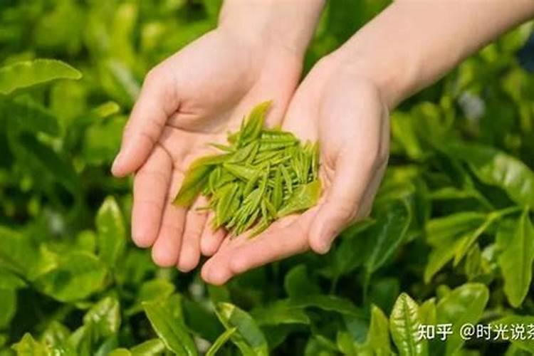 茶叶化肥使用方法