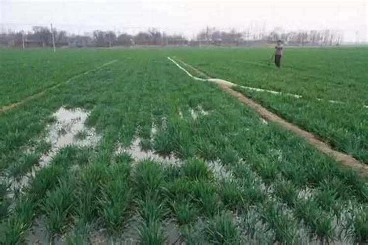 液体氮肥的使用方法