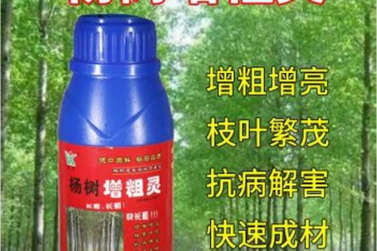 铁树施什么肥最好