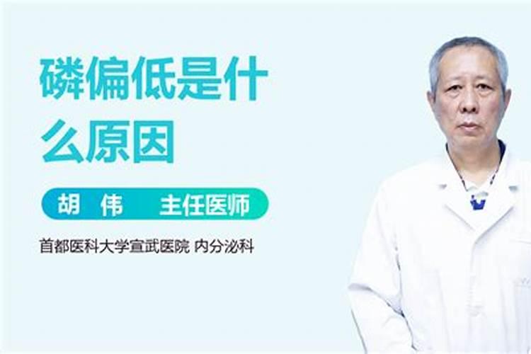 向日葵种植苗期管理注意事项 向日葵怎么养殖