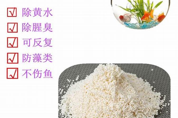 蛋白棉可以直接放缸里吗