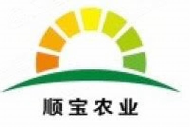 扒肘子怎样做好吃呢？