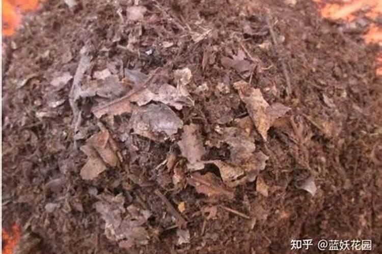 怎么快速让杂草变肥料