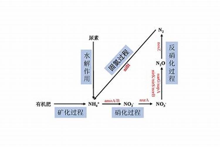 复合肥在土壤上多长时间会挥发？