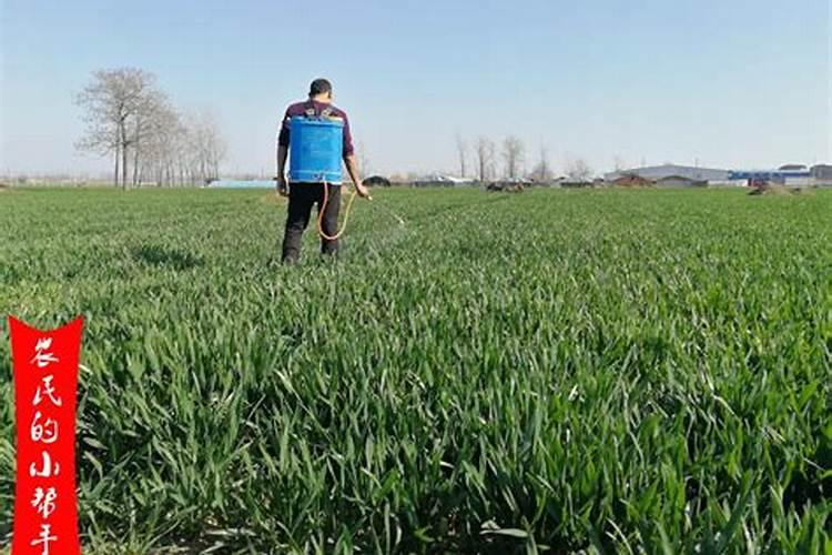 韶关的农田上白白长长的塑料管是干啥的