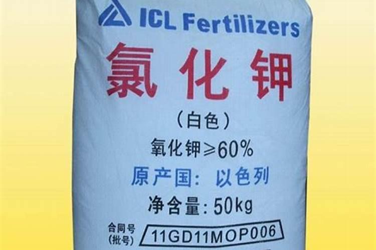 当年裁的果树发芽后可以施化肥吗