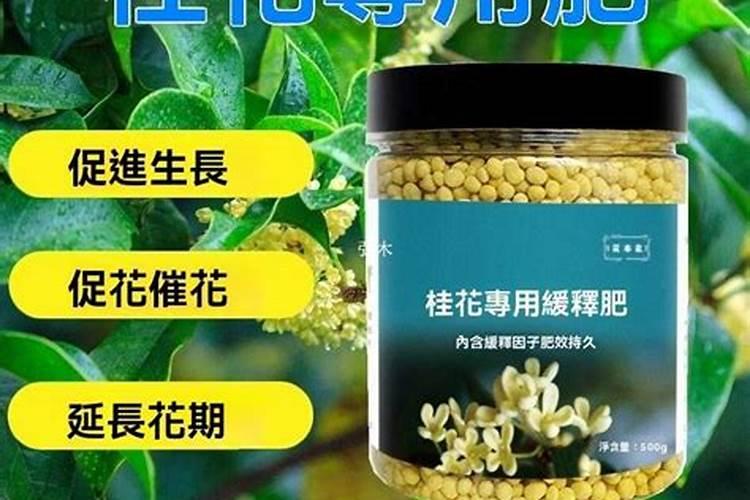 桂花施什么肥料最好