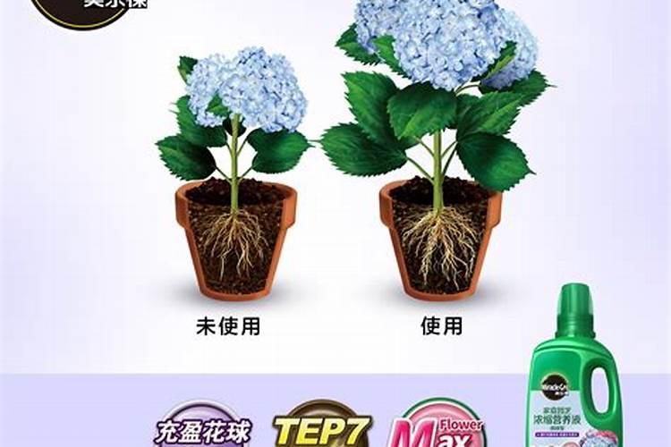 绣球专用肥适合别的花卉吗？