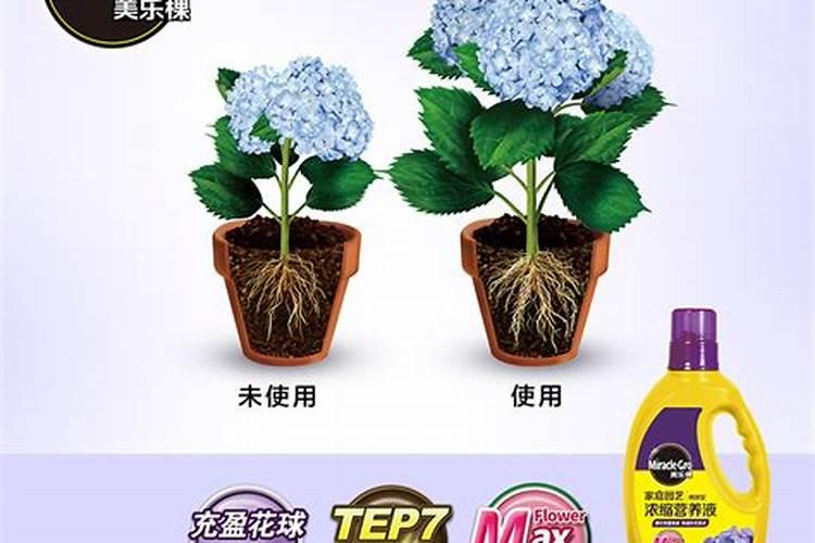 绣球专用肥适合别的花卉吗？