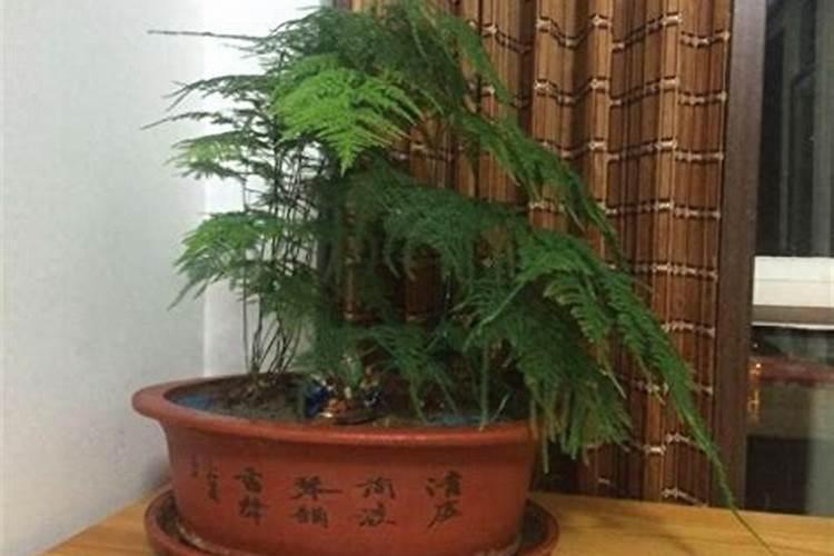 垃圾焚烧飞灰处置资源化利用方式有哪些