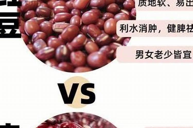 红豆的种植方法和时间