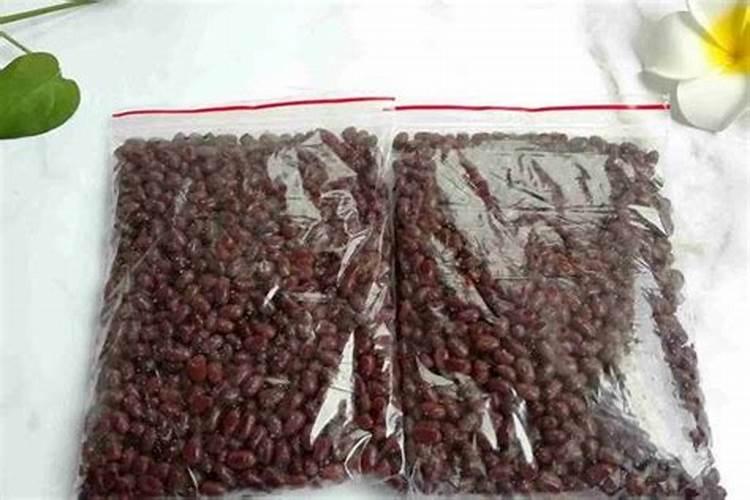 大红豆种子种植方法