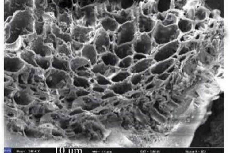 腐植酸钠(钾)果树安全施用技术是哪些？