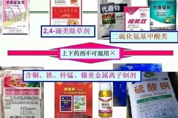 克菌丹能和糖醇钙一起混用吗
