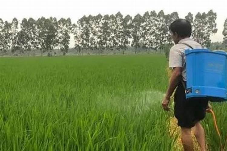 氮磷钾肥对水稻的作用？