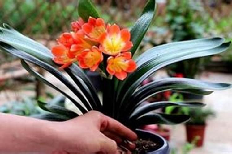 适合在朋友宾馆开业时赠送的礼物有啥？