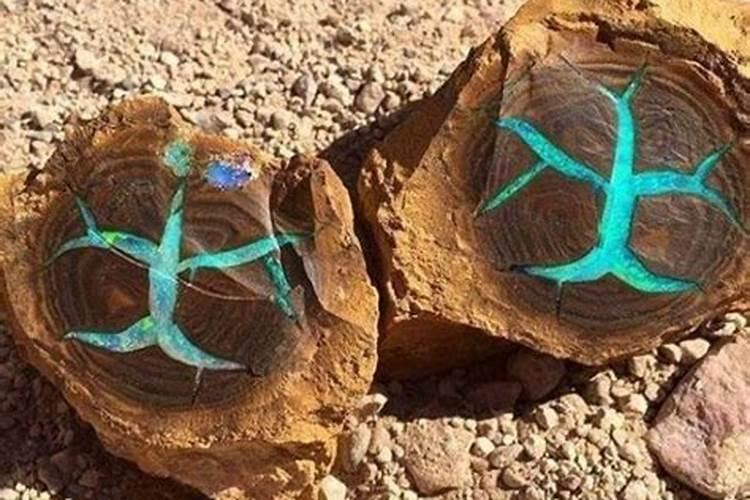 豆腐渣能做肥料吗？