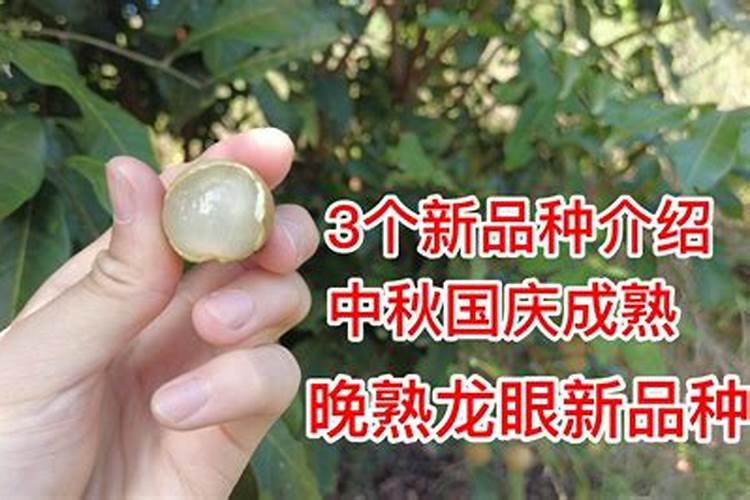 龙眼味道偏淡,有哪些增甜的方法？