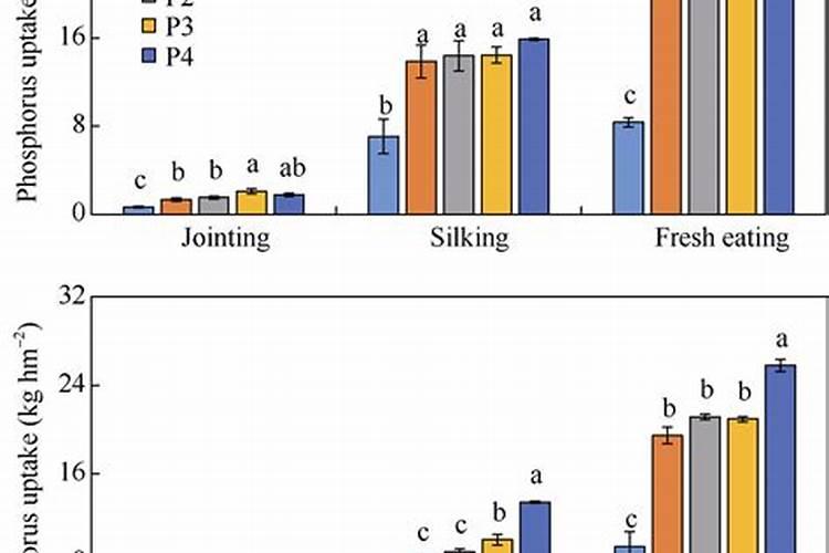 磷肥对玉米的作用及功能