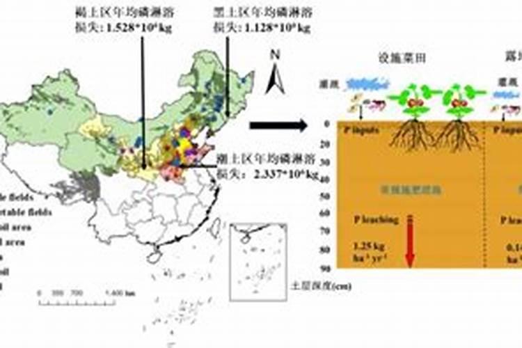 营养液喷叶还是浇土好？掌握了这些自己也可以配营养液