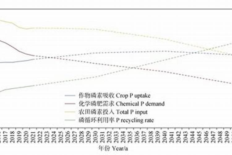 三角梅不施肥想开花不可能