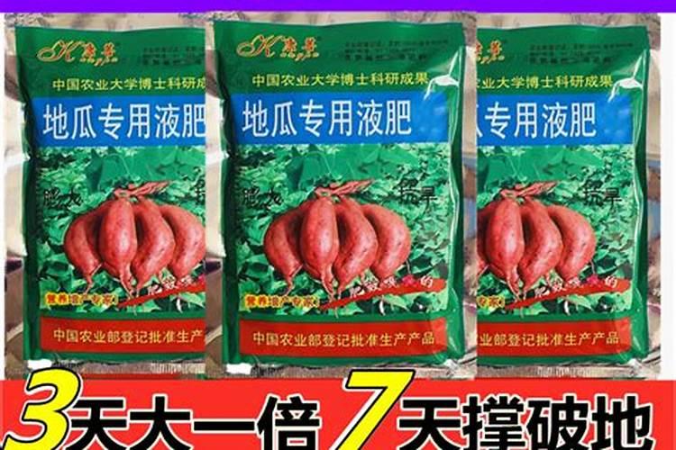 大蒜膨大素怎么用