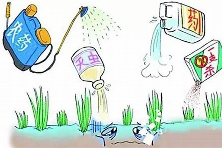 在生产和加工过程绝对禁止使用农药、化肥、激素等人工合成物质,这样...