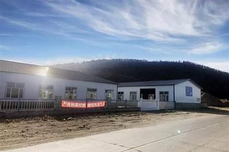 油茶树苗多少钱一棵