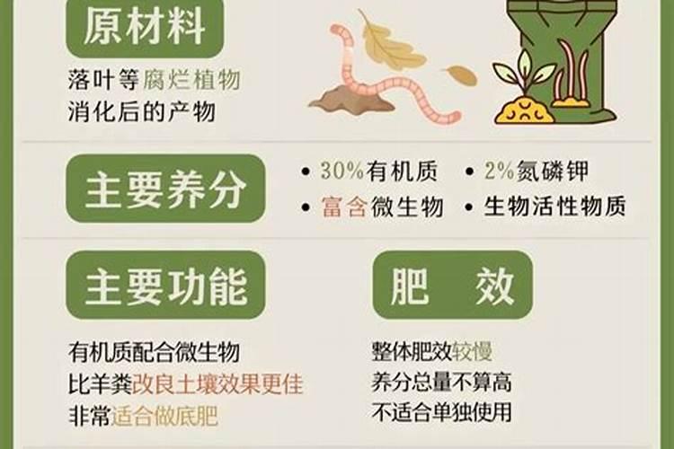 兰花怎么养护根像筷子粗