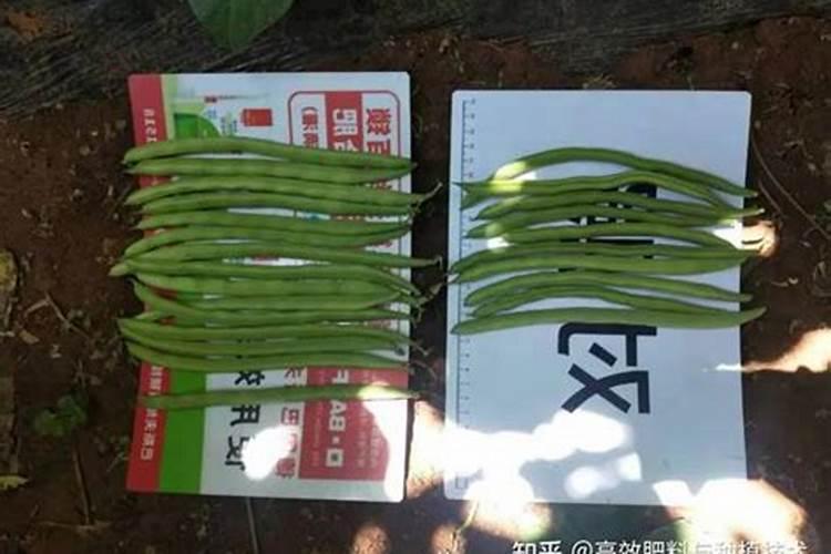 磷酸二氢钾多少钱