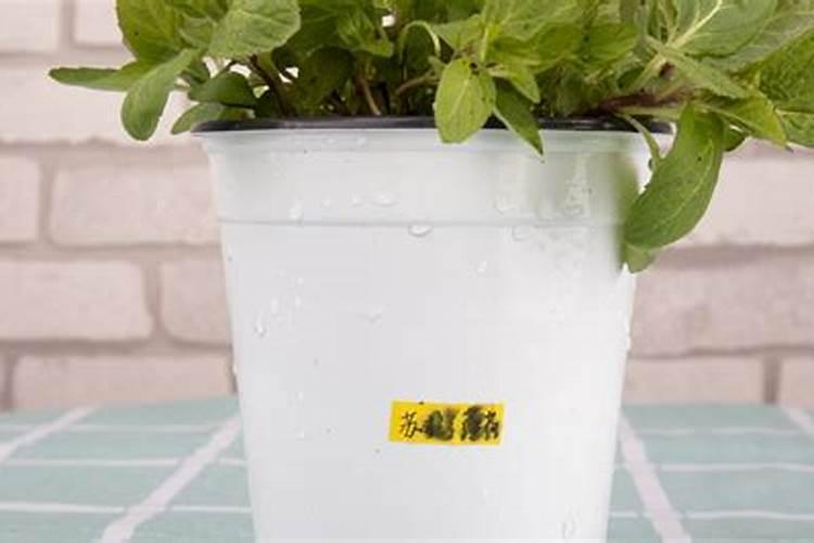 硝态氮的复合肥忌用