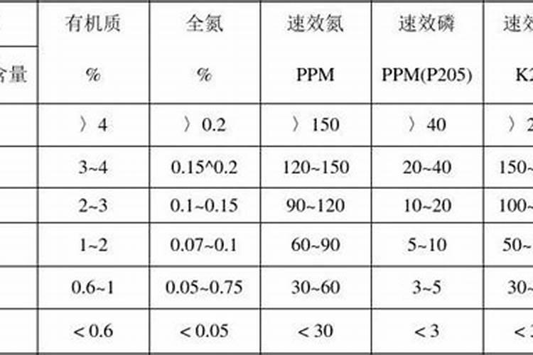 如何给绿萝施肥