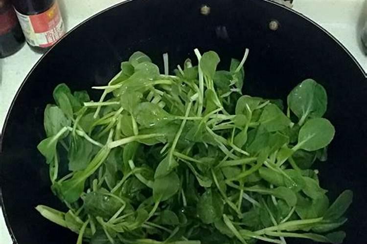 四平季小白菜出苗后怎样浇水施肥