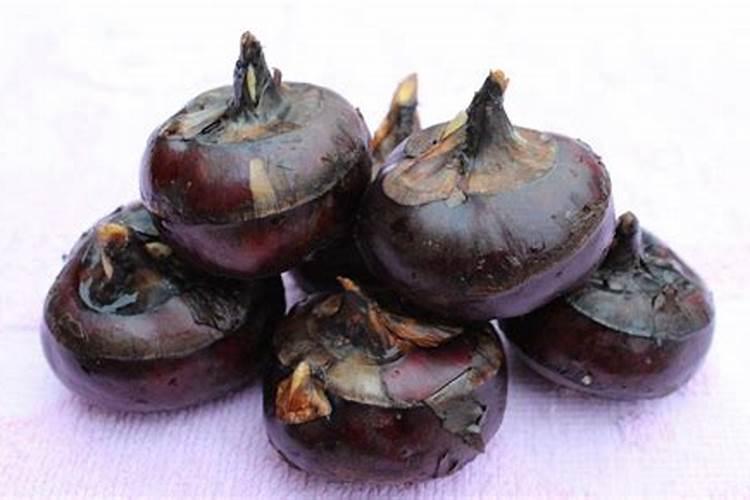 削下的马蹄皮晒干能做花土吗？