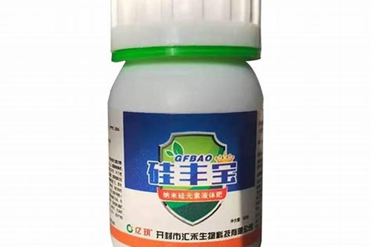 水产养殖淡水水体藻类,小白入行必看