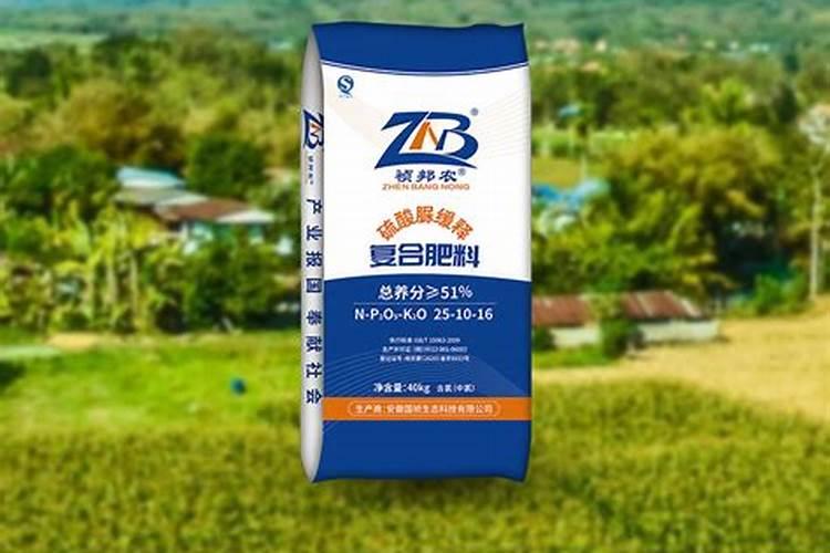 月季花多久施肥一次 月季花施肥时间