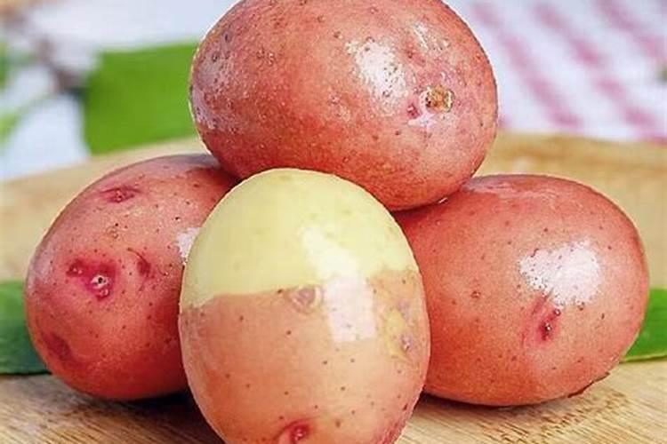 马铃薯雪粉在哪里多？