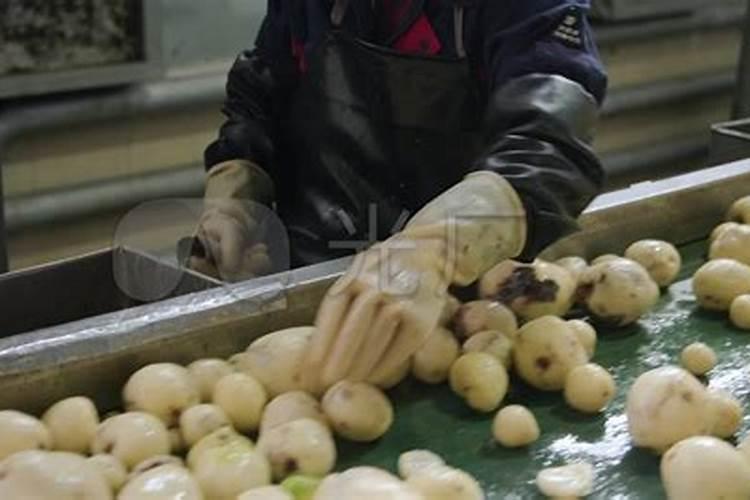 土豆浇什么肥料合适