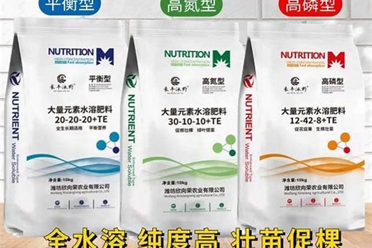 潍坊有哪些化肥厂