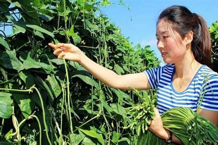 中国复合肥十大名牌有哪几种