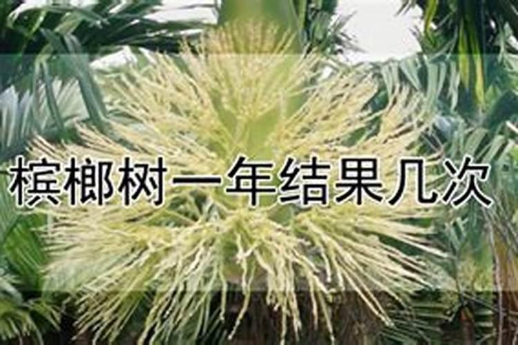 水溶肥一般几天见效