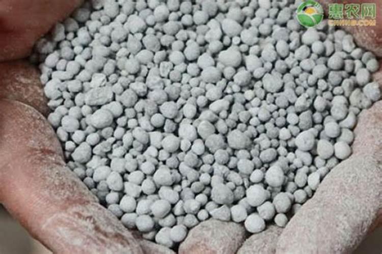 玉米打苗后除草剂药害补救方法